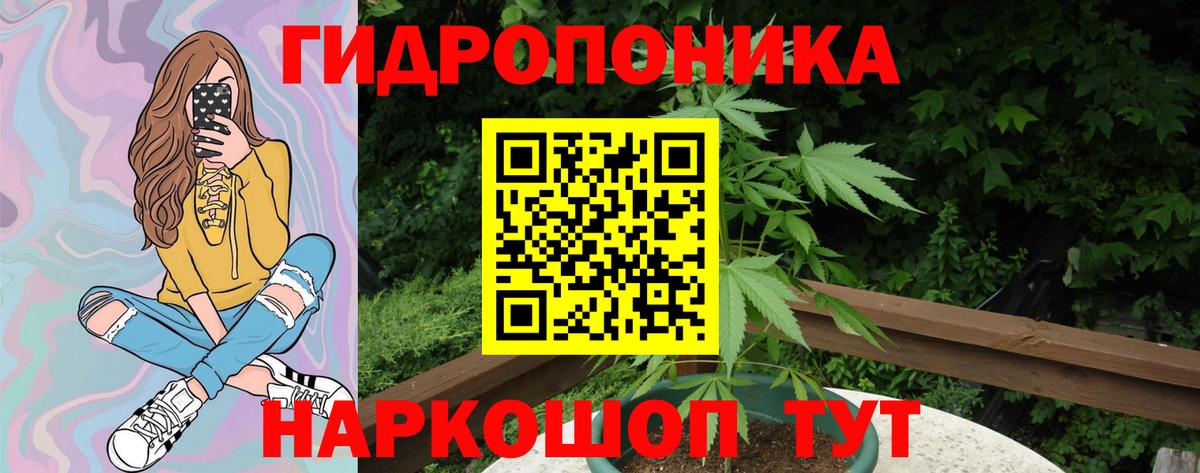 Канабис гибрид  Бошки Шишки VHQ  Канабис Bruce Banner  Рославль  Вход с VPN 
